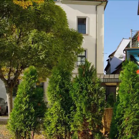 Schwarzer Baer Jena