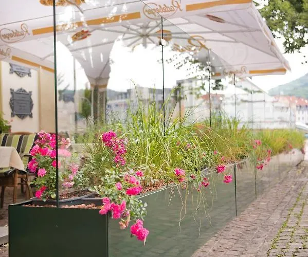 Szálloda Schwarzer Baer