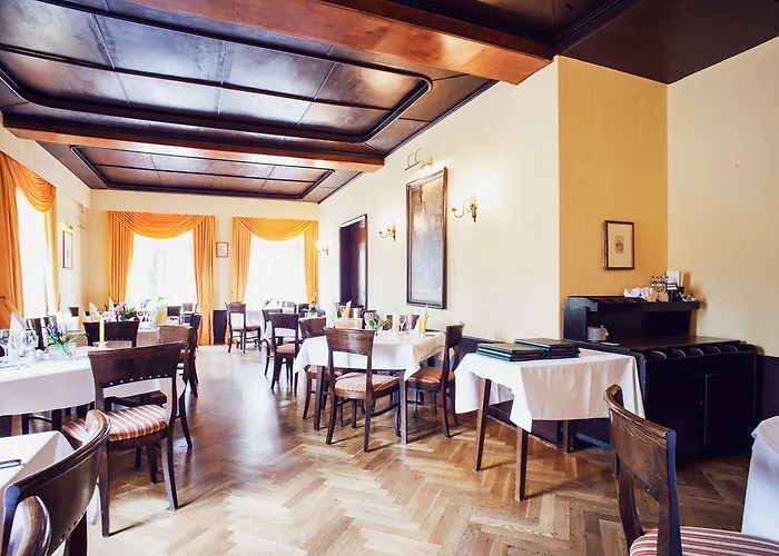 Schwarzer Baer Jéna